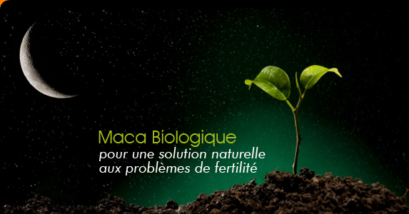 Le maca, pour une solution naturelle aux probl�mes de fertilit�