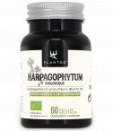 Harpagophytum Biologique