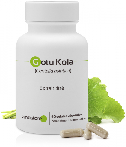 Gotu Kola (<em>Centella asiatica</em>)