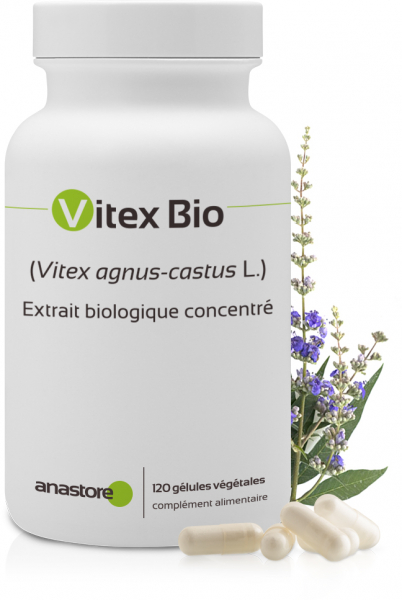 Gattilier Bio (<em>Vitex agnus-castus</em>)