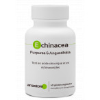 Echinacea Purpurea & Angustifolia
