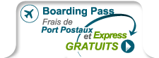 Boarding Pass ANA