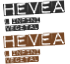 Hévéa