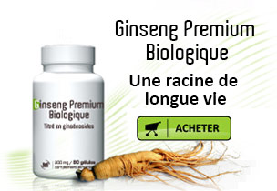 Ginseng Premium Biologique