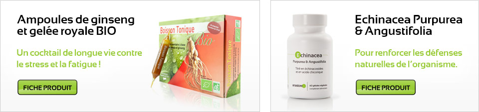 Ampoules de ginseng et gel�e royale BIO - Echinacea Purpurea & Angustifolia