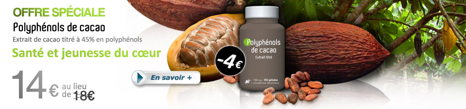 Polyphénols de cacao