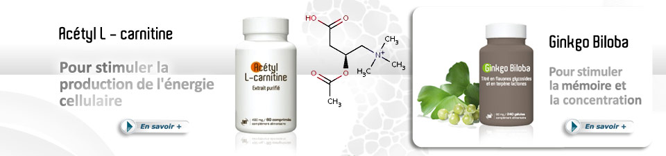 Acétyl L - carnitine - Ginkgo Biloba