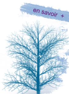 en savoir plus