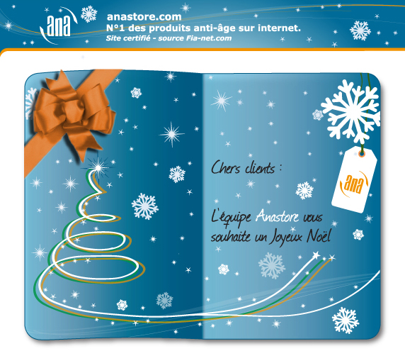 Joyeux No�l 2009, l'�quipe Anastore