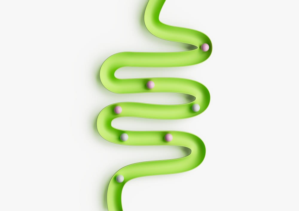 Transit intestinal