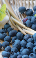 Les myrtilles, le fruit qui prend soin des yeux