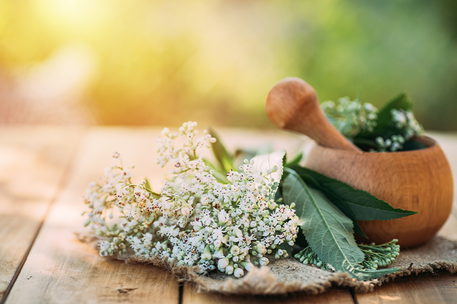 Plantes qui combattent l'insomnie et le stress