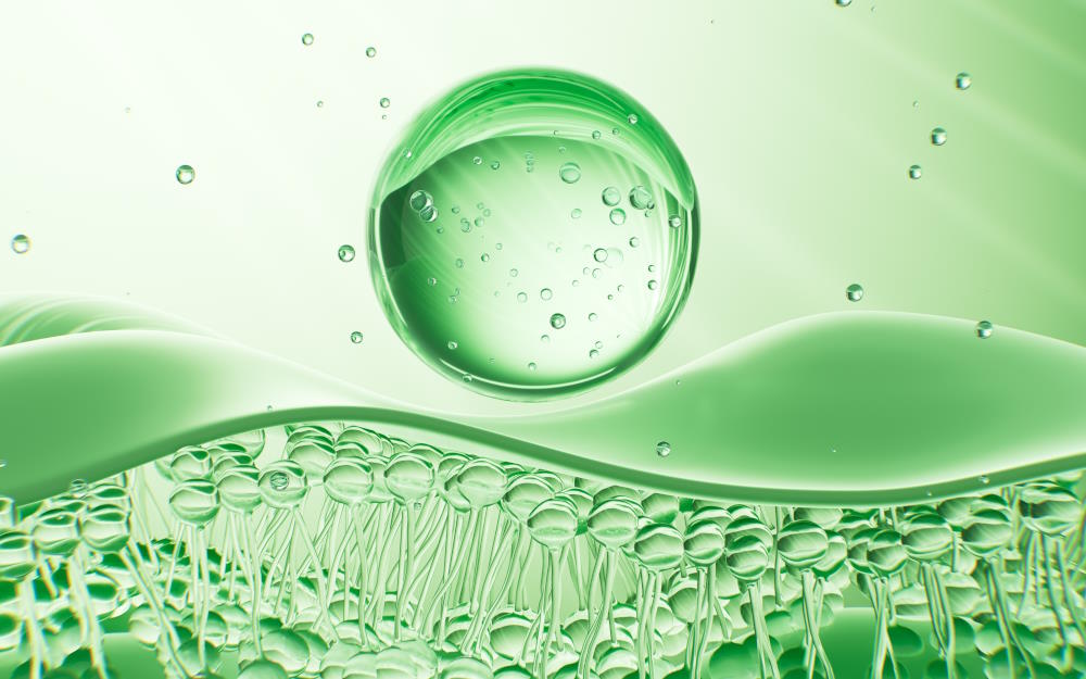 Nutrition cosmétique