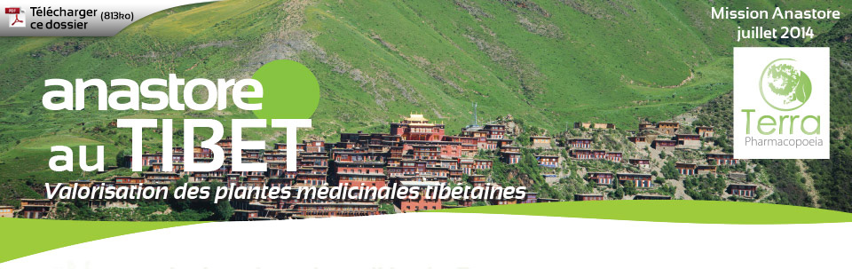 Anastore au Tibet - Valorisation des plantes médicinales tibétaines