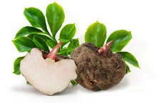 Glucomannane (Konjac)