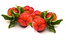 Acérola Bio