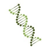 Trans-Resveratrol
