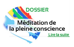 Encens du Tibet «Sacred Source»