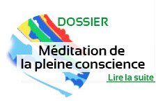 Encens du Tibet «Sacred Source»