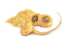 Maca Bio