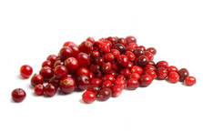 Schisandra chinensis