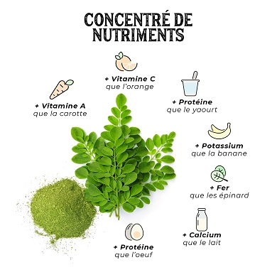 Moringa, concentré de nutriments