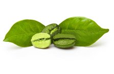Café vert + Thé vert