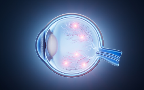 Vision et santé oculaire