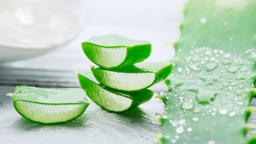 Aloe vera