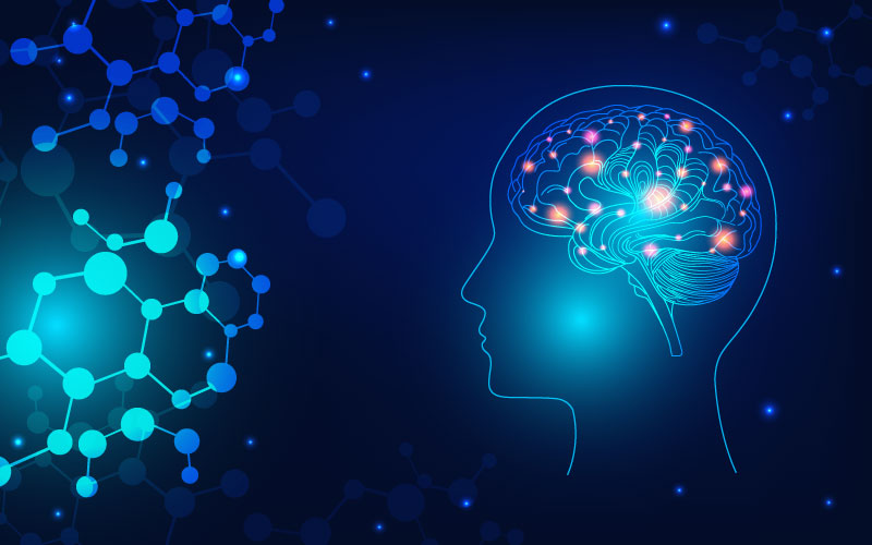 Cerveau futuriste
