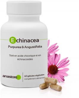 Echinacea Purpurea & Angustifolia