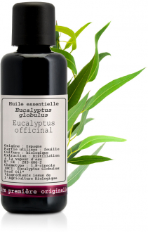 Huile essentielle Eucalyptus officinal Bio