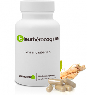 Le Ginseng sib&eacute;rien pour lutter contre le stress