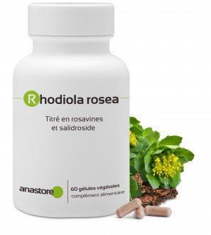 Rhodiola Rosea