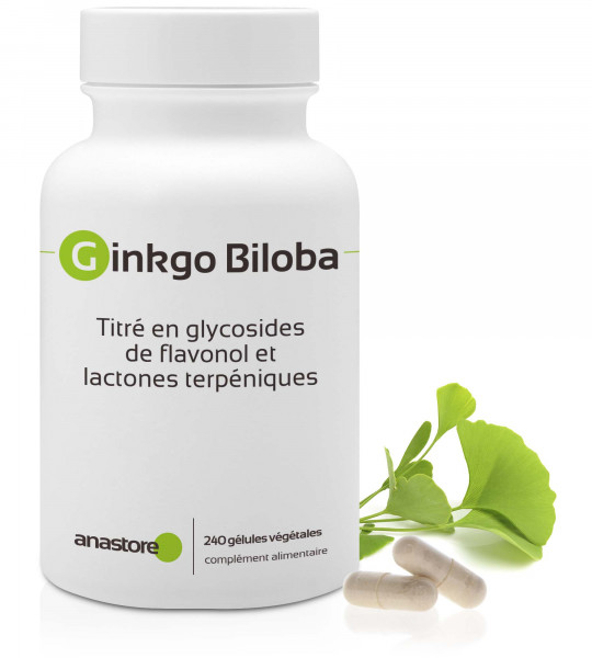 Ginkgo Biloba