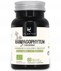 Harpagophytum