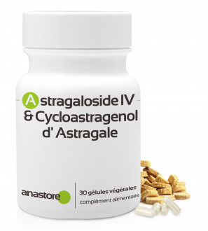 Astragaloside IV et Cycloastragénol issus de l'Astragale