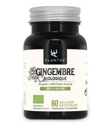 Le gingembre favorise la digesti&oacute;n et soutient la fonction normale de l&rsquo;estomac au debut de la grossesse