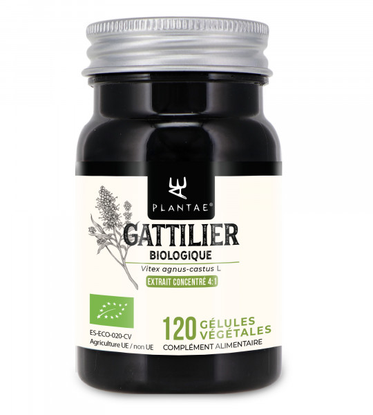 Gattilier Bio (<em>Vitex agnus-castus</em>)