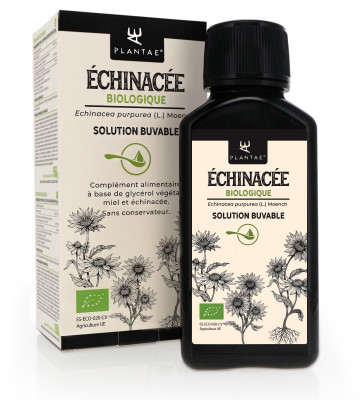 L'échinacée soutient votre système immunitaire