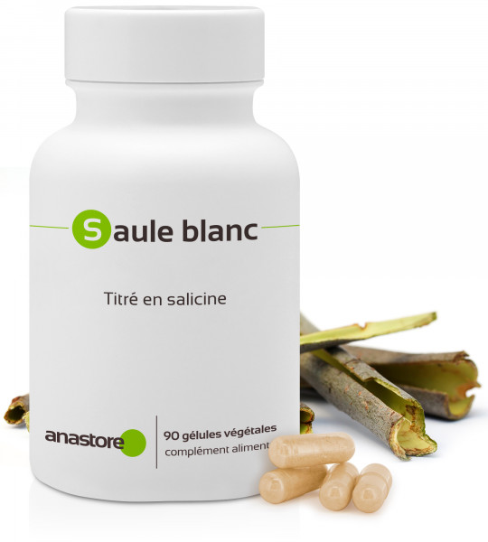 Saule Blanc