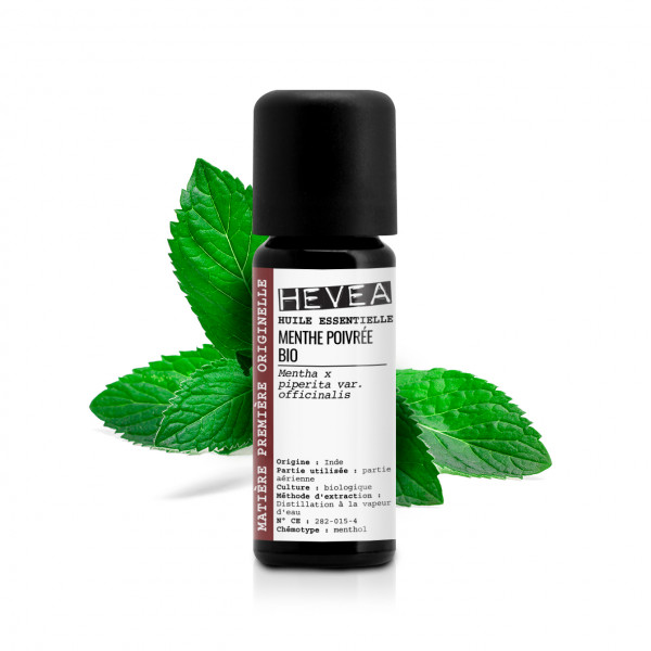 Huile essentielle Menthe poivrée Bio