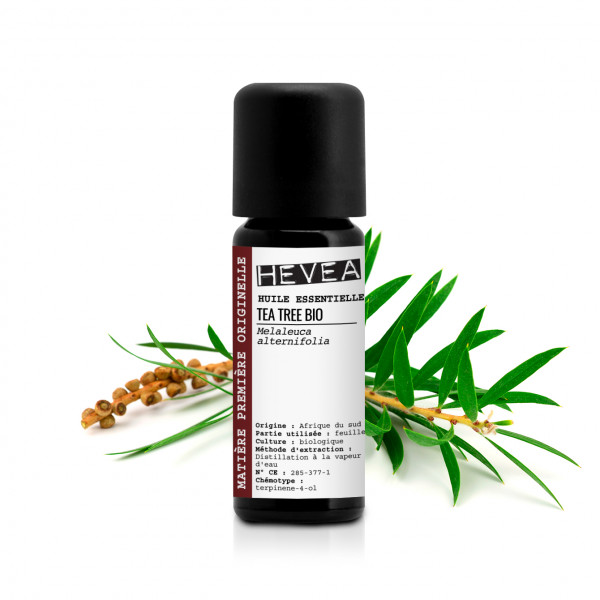 Huile essentielle Tea tree Bio