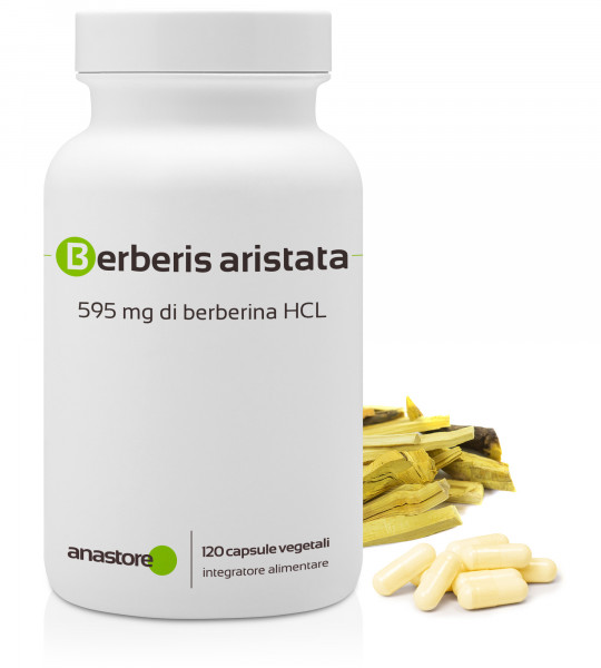 Berbérine (Berberis aristata)