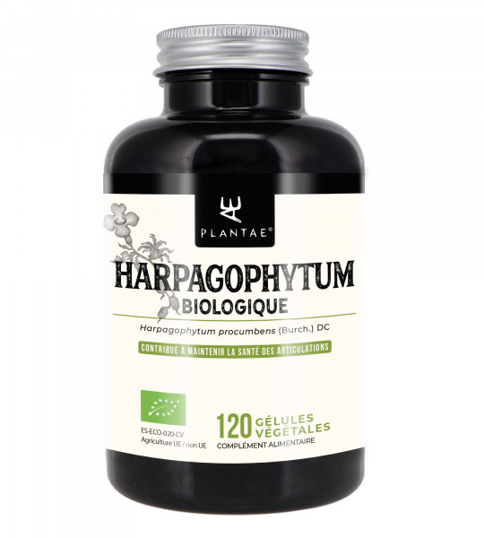 Harpagophytum Biologique