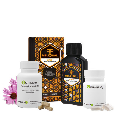 Combinaison idéale pour le système immunitaire
