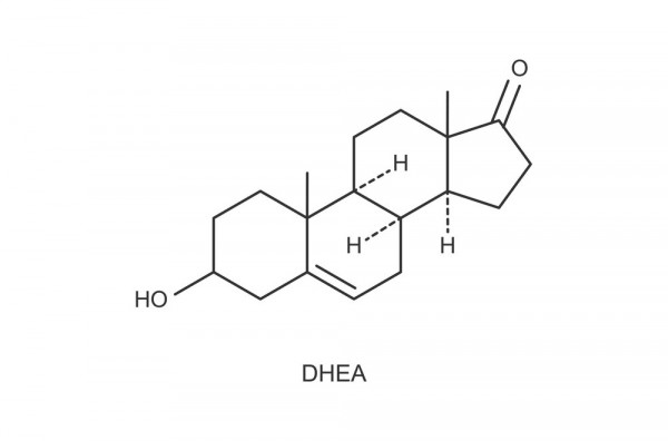 DHEA