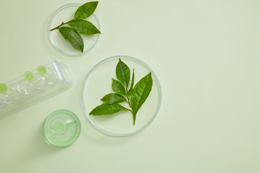 Extraits titrés et cliniquement testé