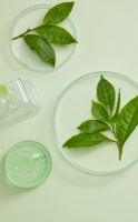 Extraits titrés et cliniquement testé