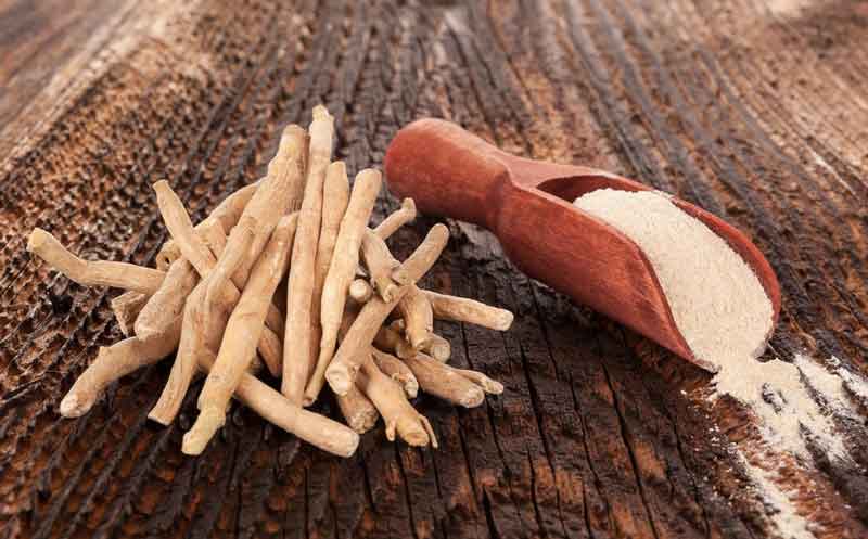Les 11 Bienfaits de l’Ashwagandha I 
